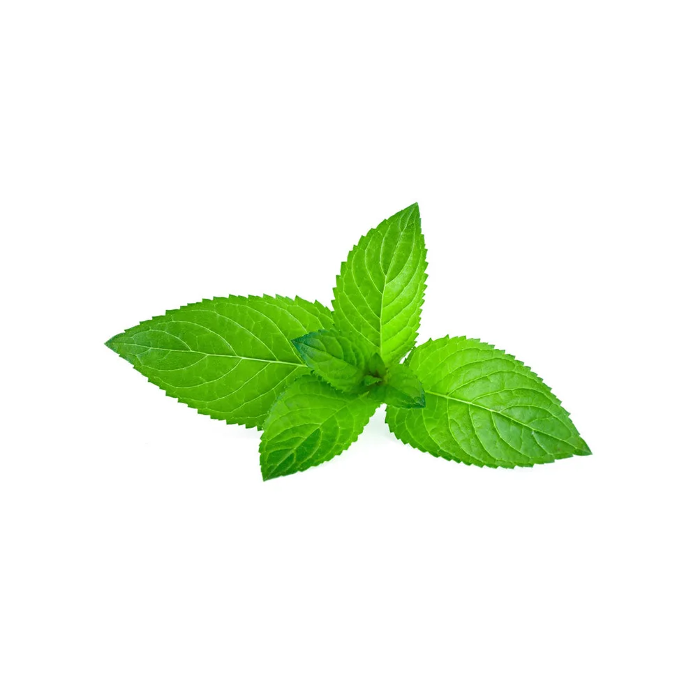 Capella Cool Mint Concentrate